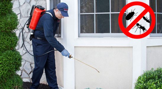 Akıncılar Fare İlaçlama böcek ilaçlama ve haşere kontrolü — ilaclama-tr.com